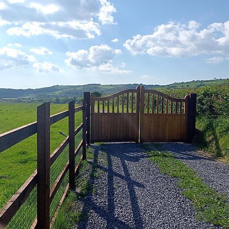 Llanfynydd Oak Tree Farm酒店 外观 照片