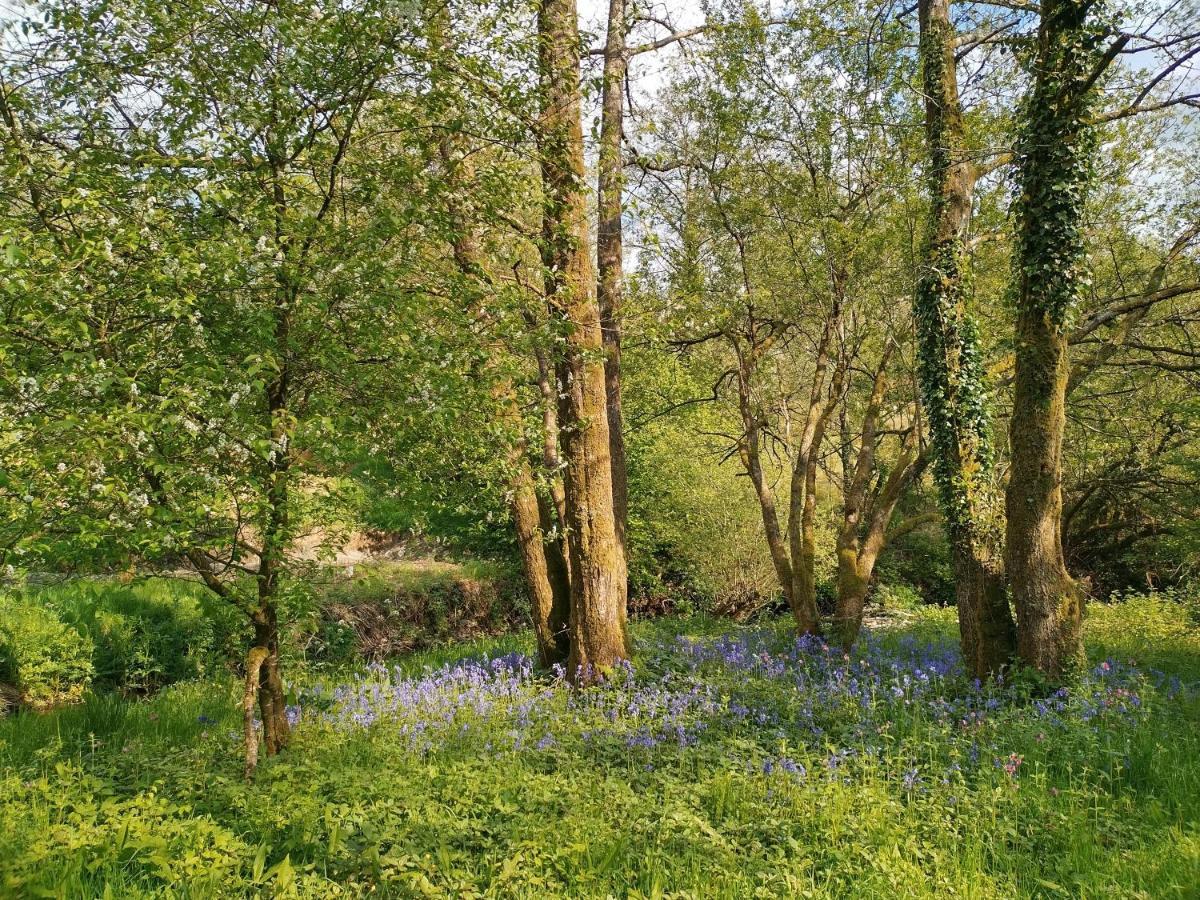 Llanfynydd Oak Tree Farm酒店 外观 照片