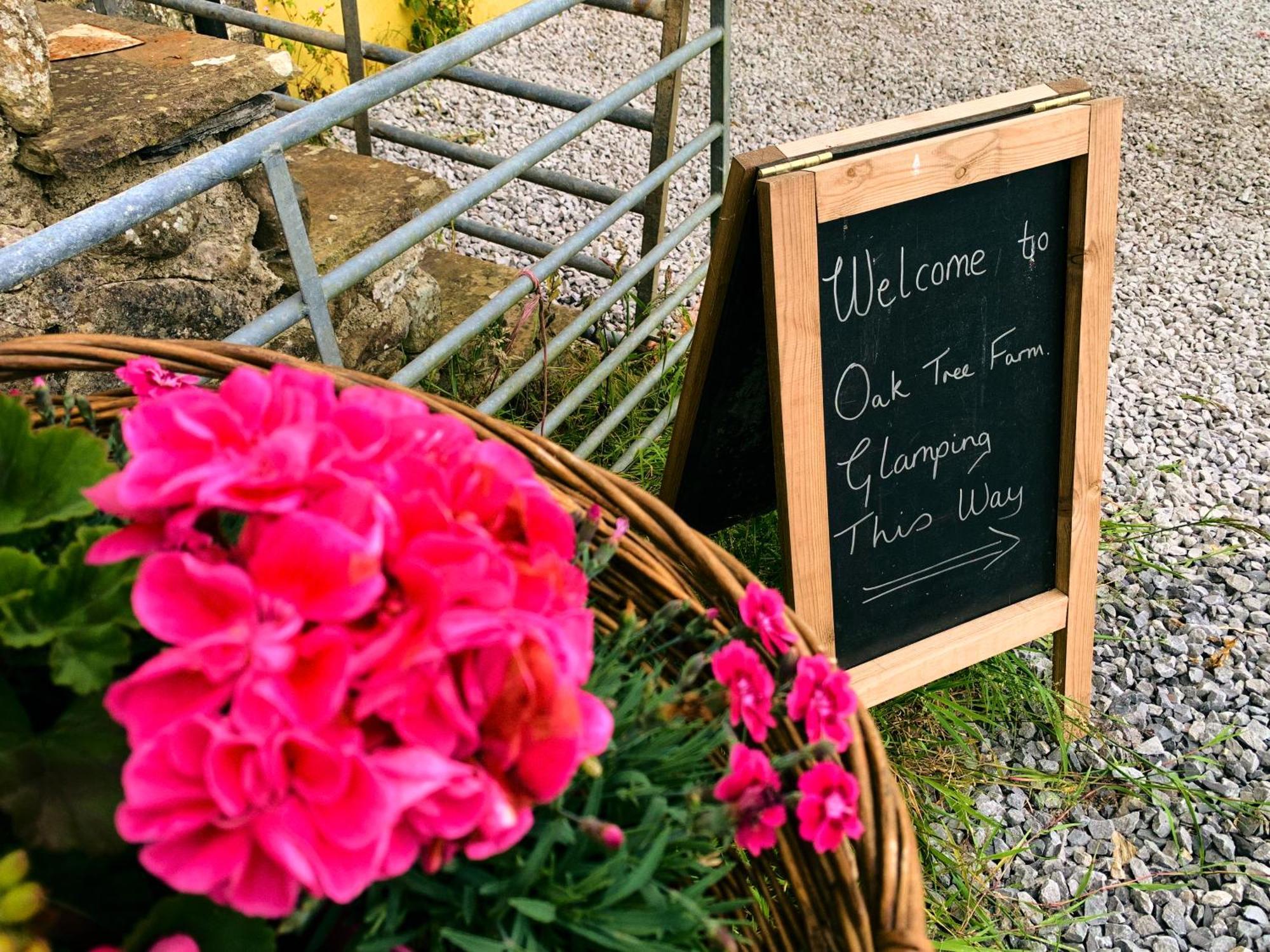 Llanfynydd Oak Tree Farm酒店 外观 照片